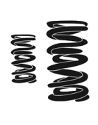 VALVE SPRINGS