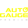 AUTO GAUGE